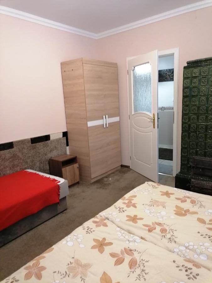 Apartament Kaktuszvirag Apartmanhaz Hajdúszoboszló Zewnętrze zdjęcie